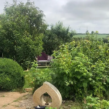 Little Valley View Otterham Exterior photo