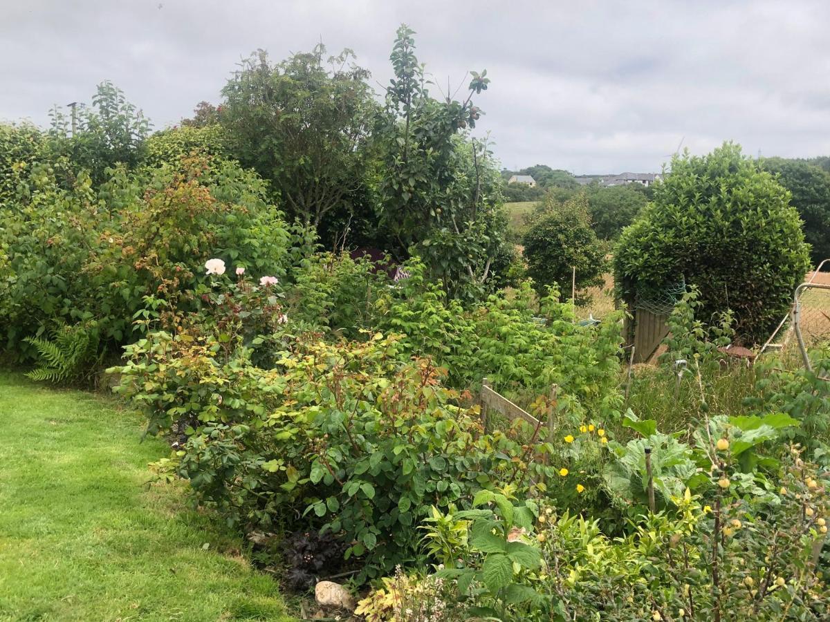Little Valley View Apartment Otterham